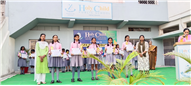 Merit Award Distribution