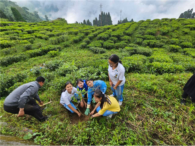 Plantation Drive