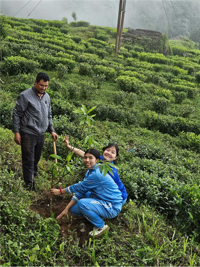 Plantation Drive