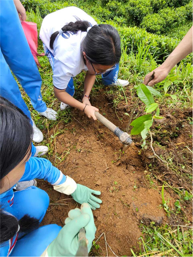 Plantation Drive