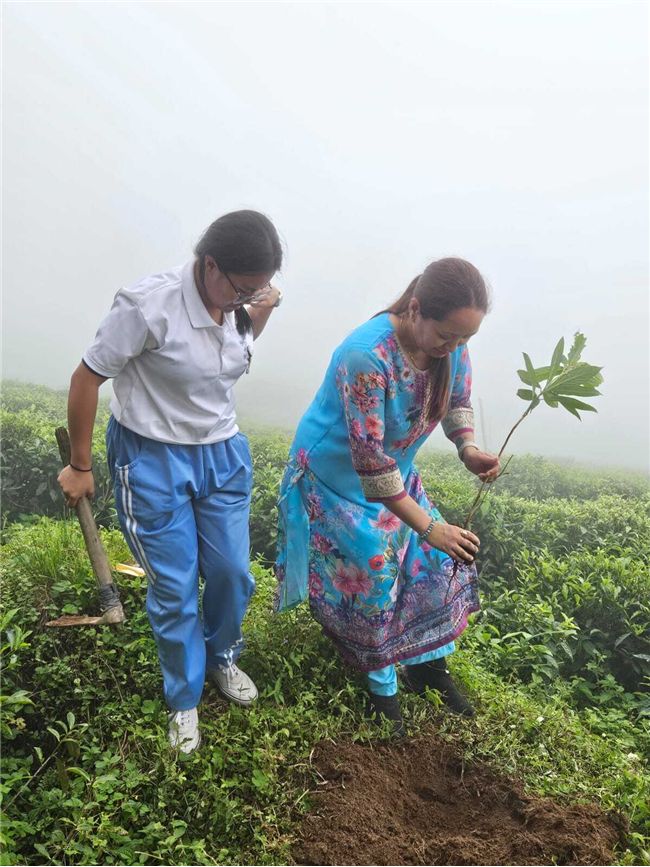 Plantation Drive