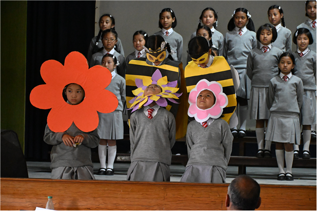 World Bee Day