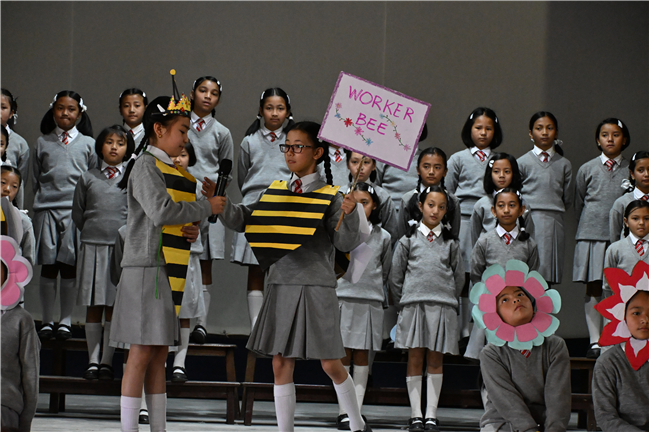 World Bee Day