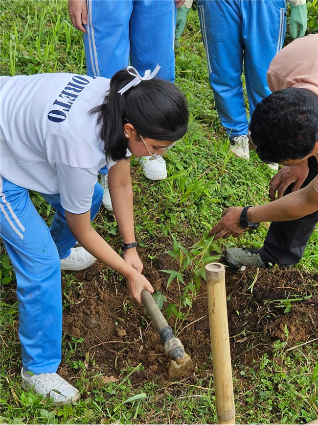 Plantation Drive