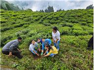 Plantation Drive