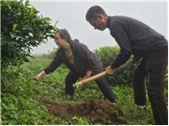 Plantation Drive