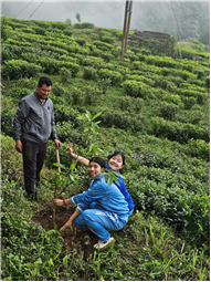Plantation Drive
