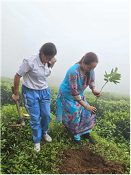 Plantation Drive