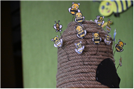 World Bee Day