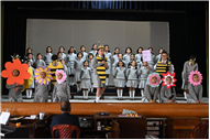 World Bee Day