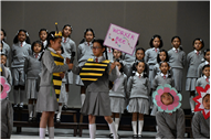 World Bee Day