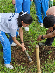 Plantation Drive
