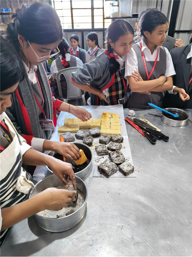 The ninth Vocational Training