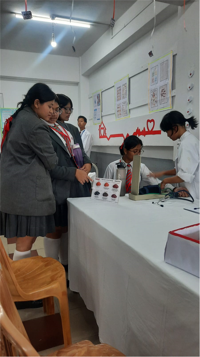 Class XII (Science & Humanities) Exhibition
