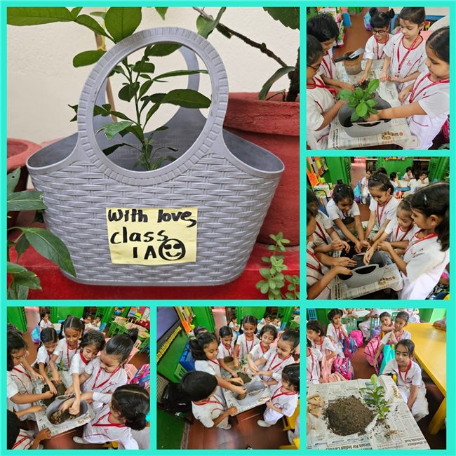 Vanmahotsav Week 2025