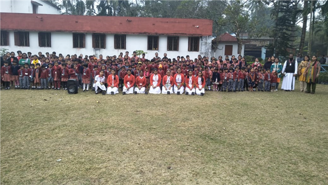 Saplings plantation,2019