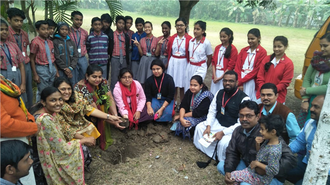 Saplings plantation,2019