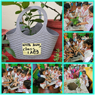 Vanmahotsav Week 2025