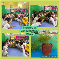 Vanmahotsav Week 2025