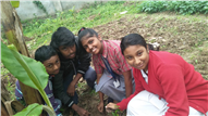 Saplings plantation,2019