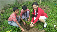 Saplings plantation,2019