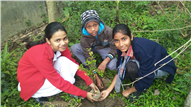 Saplings plantation,2019