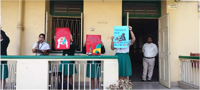 Traffic safety week by LTS