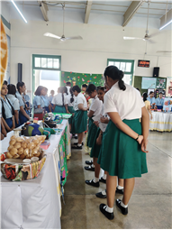 VISTAR(Inter school activity)