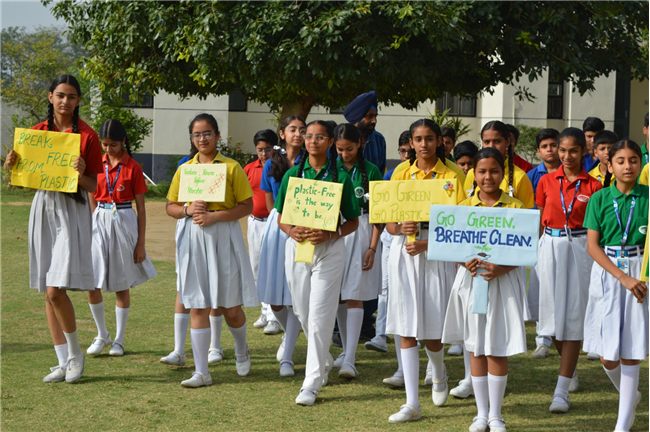 World Environment Day Program