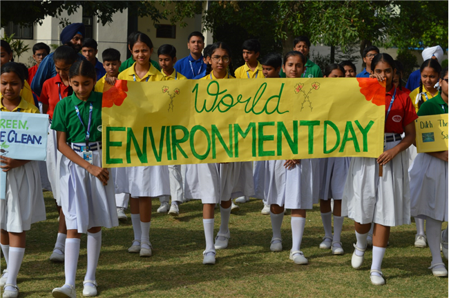 World Environment Day Program