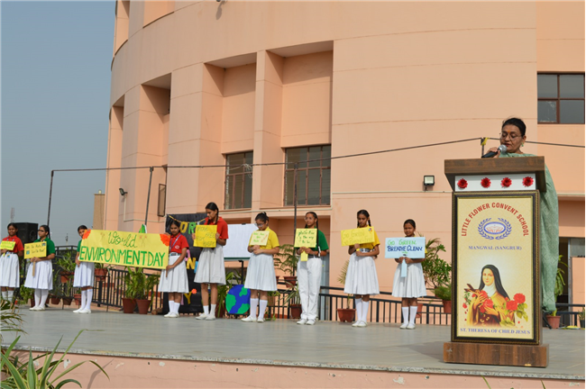 World Environment Day Program