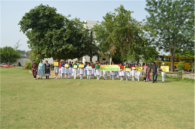 World Environment Day Program