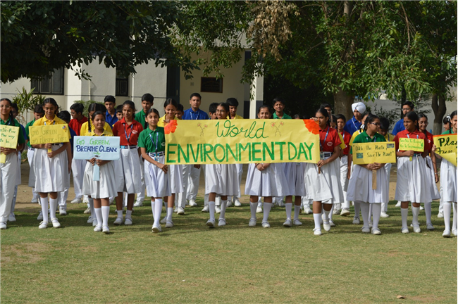 World Environment Day Program