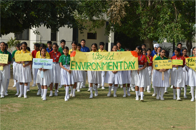 World Environment Day Program