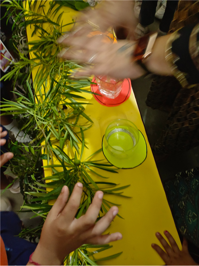 Saturday Bagless Day: Science Experiments
