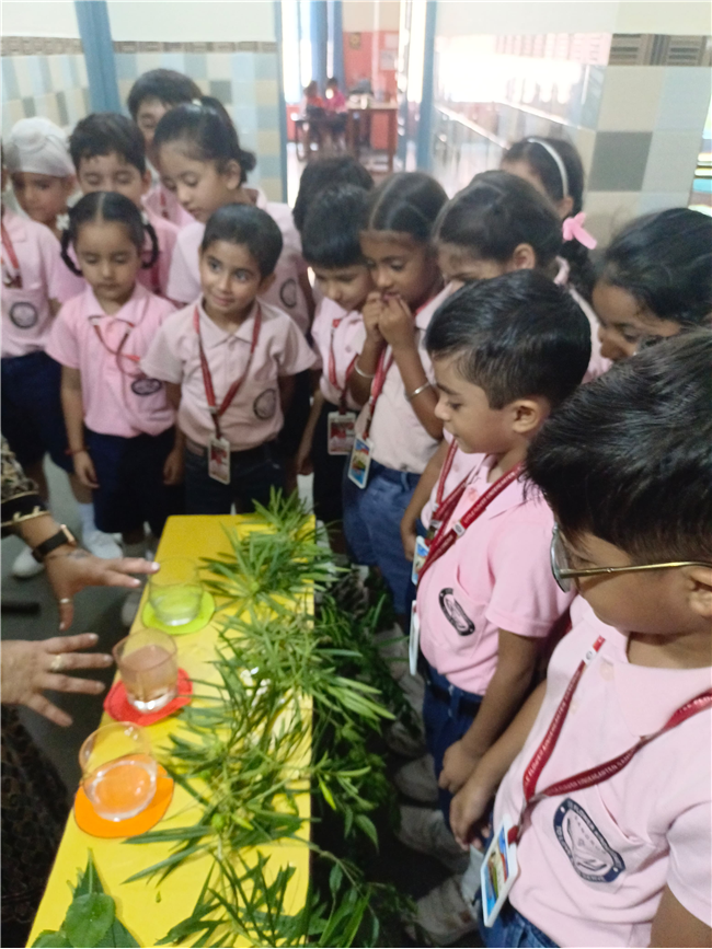 Saturday Bagless Day: Science Experiments