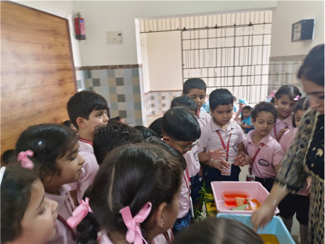 Saturday Bagless Day: Science Experiments