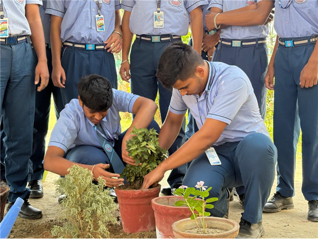 World Environment Day Celebration