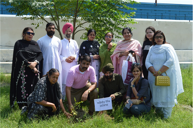 Tree plantation