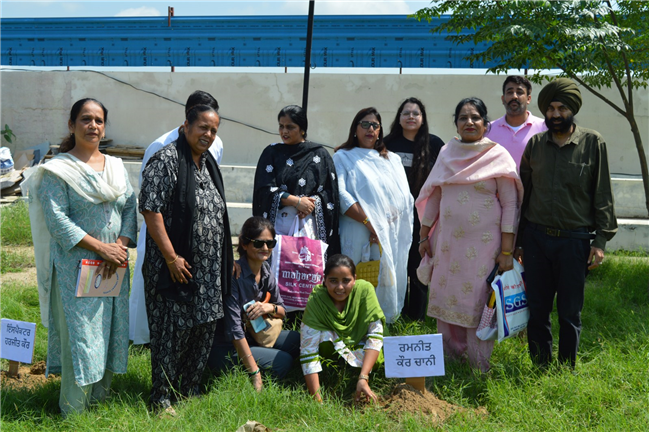 Tree plantation