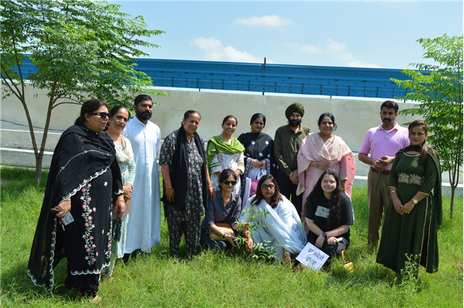 Tree plantation