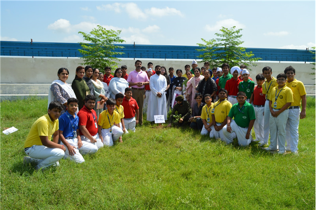 Tree plantation