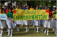 World Environment Day Program
