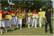 World Environment Day Program