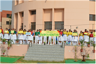 World Environment Day Program