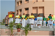 World Environment Day Program