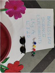 Saturday Bagless Day: Science Experiments
