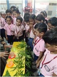 Saturday Bagless Day: Science Experiments