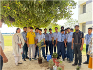 World Environment Day Celebration