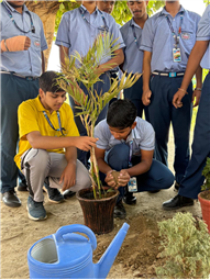 World Environment Day Celebration